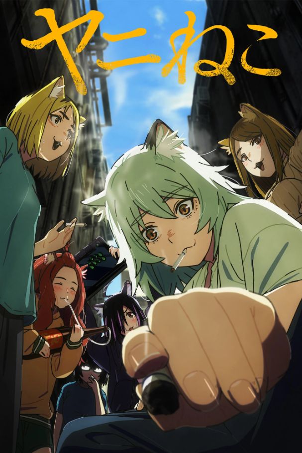Chainsmoker Cat